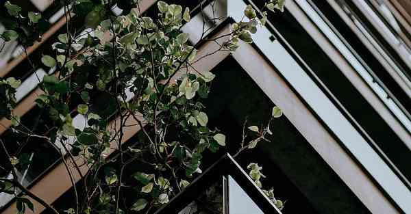 活动策划公司开业祝贺词