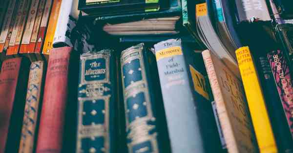 新年活动有哪些活动内容