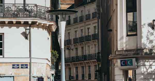 公司如何组织志愿活动策划