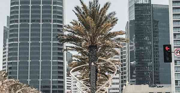 装修公司做的酒店活动策划