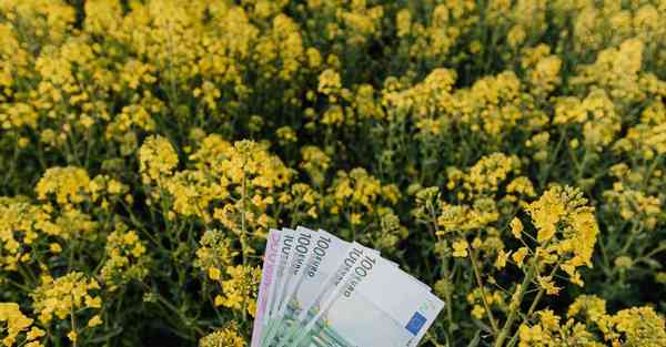 线上小程序活动策划公司