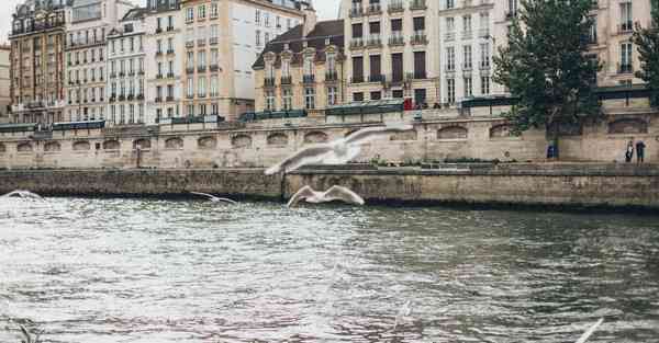 建筑公司如何做活动策划