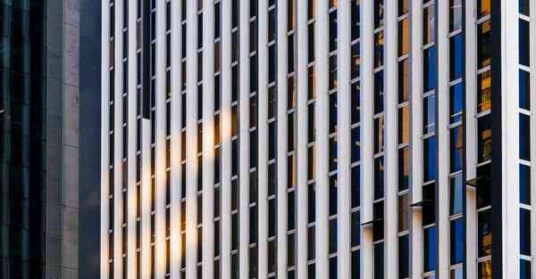 公司活动的组织和策划方案