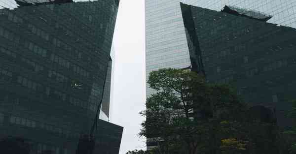 云南活动策划公司_云南活动策划公司哪家好